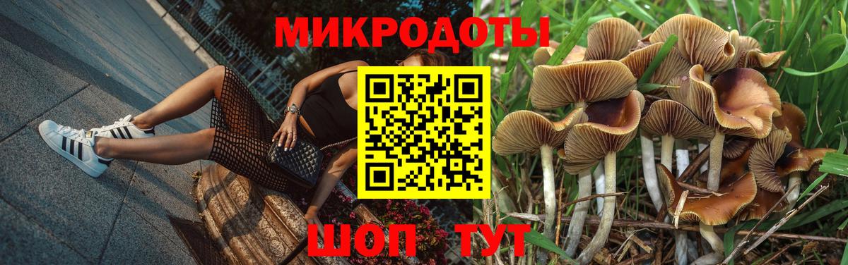 Псилоцибиновые грибы мицелий  Вход с VPN  Тосно 
